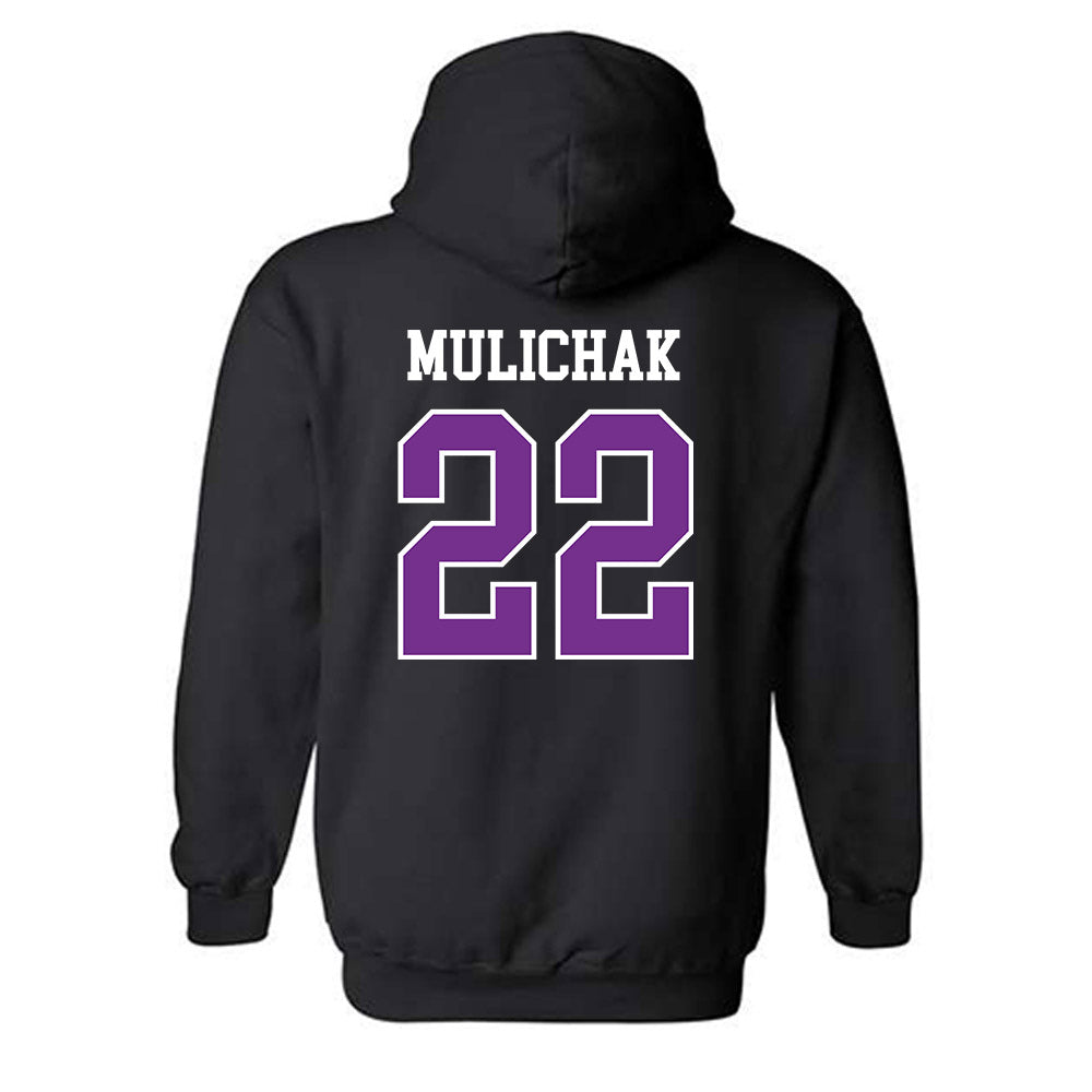 Mount Union - NCAA Men's Soccer : Ethan Mulichak - Classic Shersey Hooded Sweatshirt-1