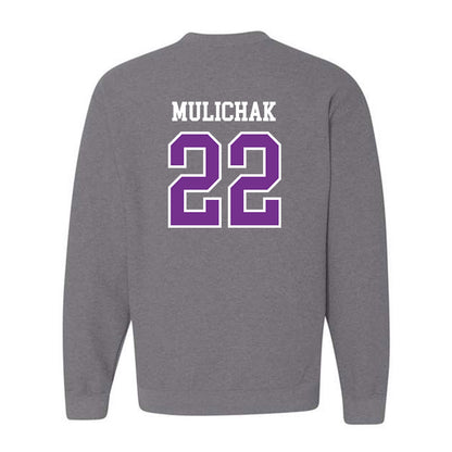 Mount Union - NCAA Men's Soccer : Ethan Mulichak - Classic Shersey Crewneck Sweatshirt-1