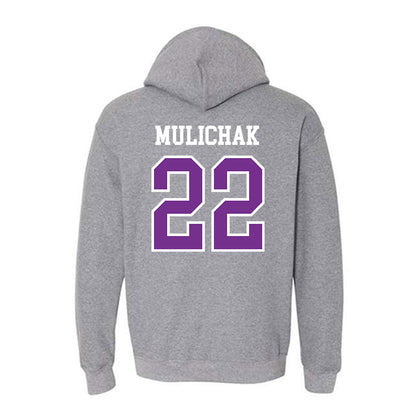 Mount Union - NCAA Men's Soccer : Ethan Mulichak - Classic Shersey Hooded Sweatshirt-1