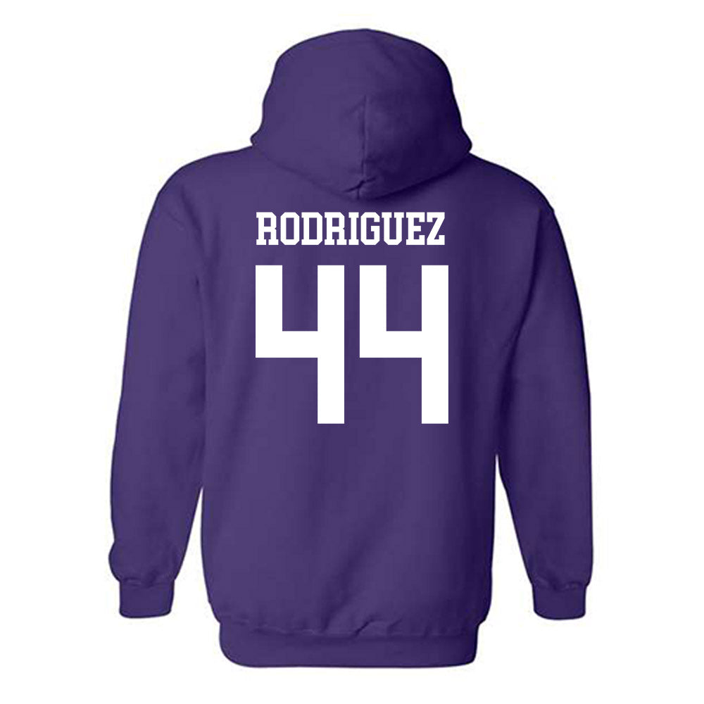 Mount Union - NCAA Men's Basketball : Darius Rodriguez - Classic Shersey Hooded Sweatshirt-1
