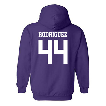 Mount Union - NCAA Men's Basketball : Darius Rodriguez - Classic Shersey Hooded Sweatshirt-1