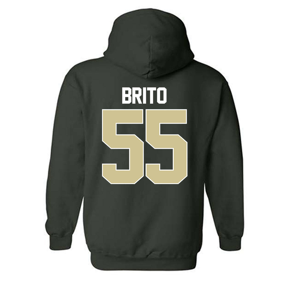 USF - NCAA Women's Basketball : Carla Brito - NCAA® March Madness® 2025 Shersey Hooded Sweatshirt-1