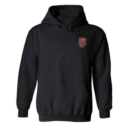 FSU - NCAA Baseball : - Team Collage Hooded Sweatshirt-0
