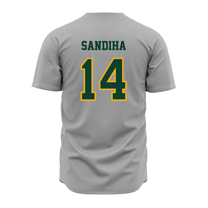 Wayne State - NCAA Baseball : Nick Sandiha - Grey Jersey-1