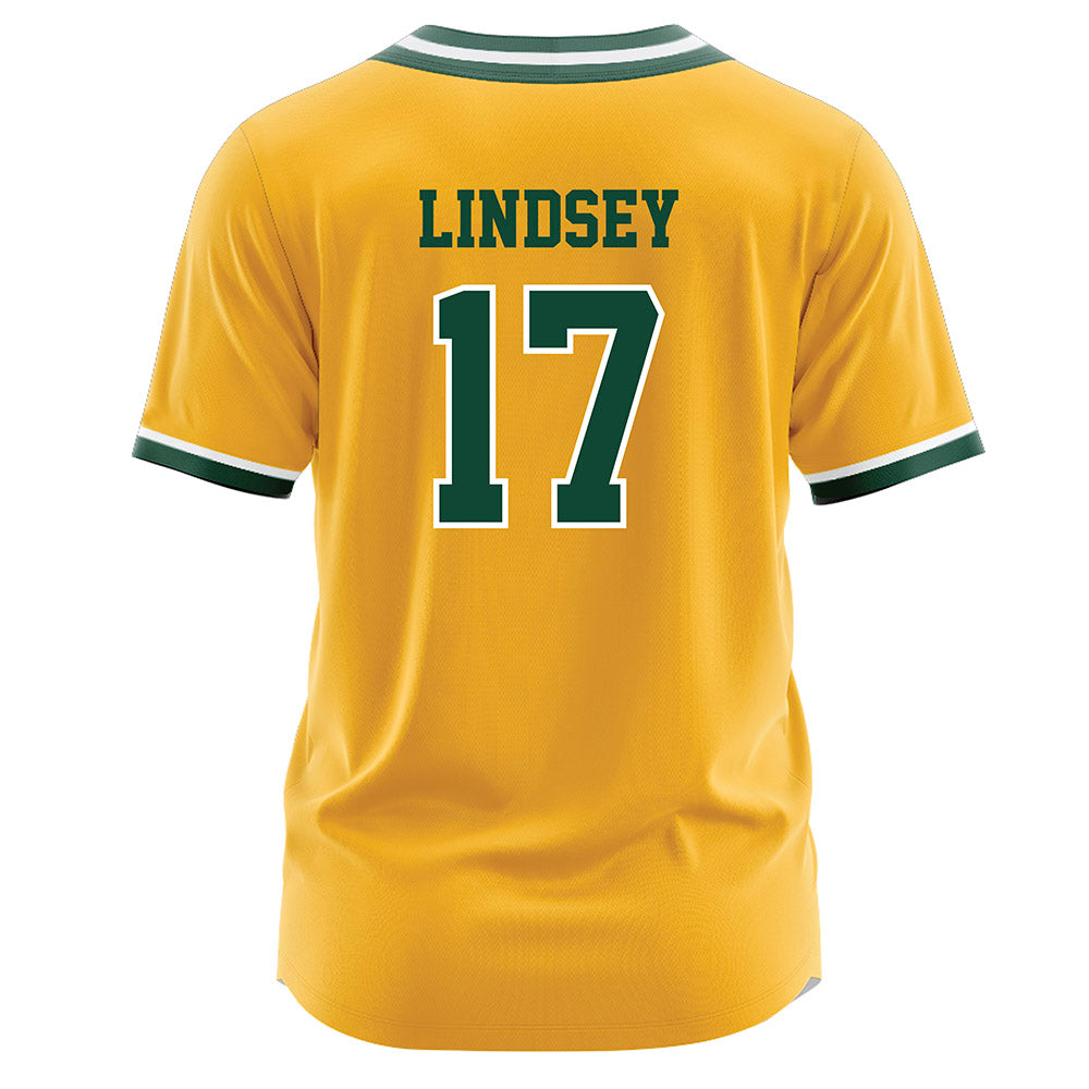 Baylor - NCAA Softball : Georgia Lindsey - Gold Jersey-1