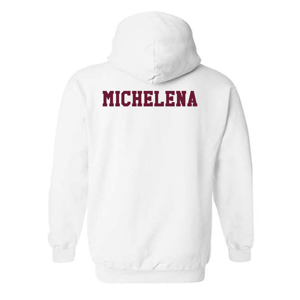 Texas A&M - NCAA Men's Swimming & Diving : Alejandro Michelena - Classic Shersey Hooded Sweatshirt-1