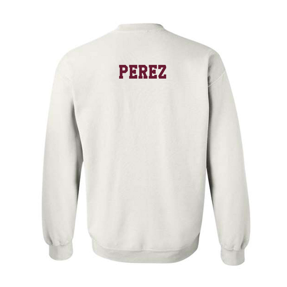 Texas A&M - NCAA Women's Tennis : Lucciana Perez - Classic Shersey Crewneck Sweatshirt-1