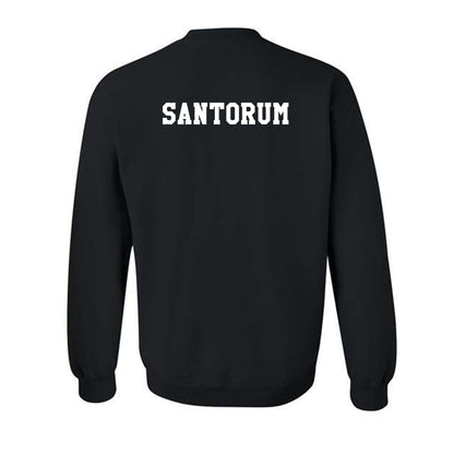 Texas A&M - NCAA Men's Track & Field : Luca Santorum - Classic Shersey Crewneck Sweatshirt-1