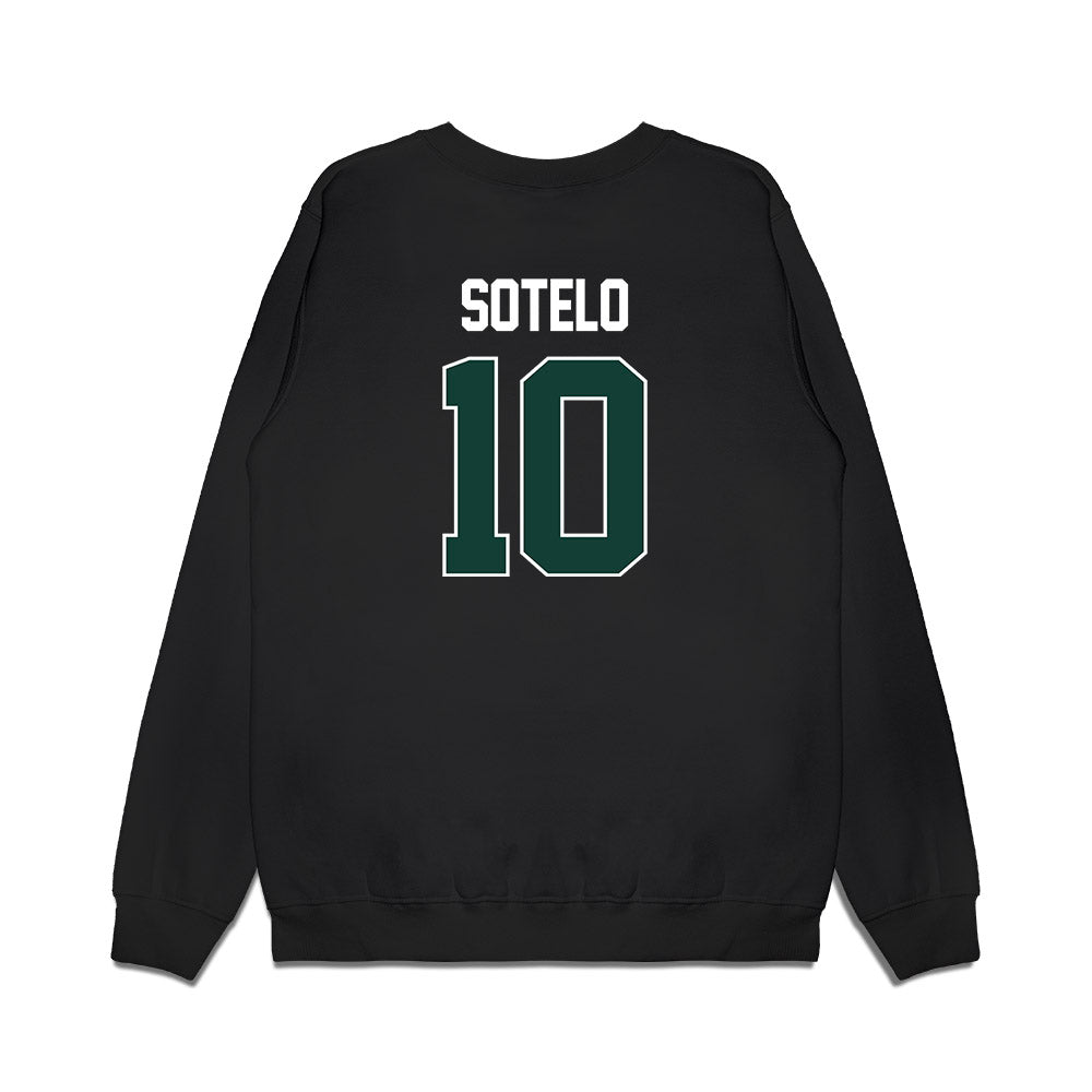Michigan State - NCAA Women's Basketball : Ines Sotelo - NCAA® March Madness® 2025 Sweet Sixteen Shersey Premium Crewneck Sweatshirt-1