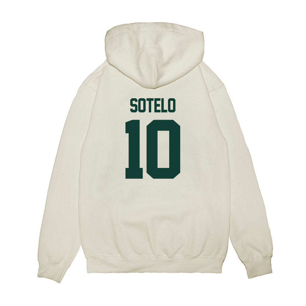 Michigan State - NCAA Women's Basketball : Ines Sotelo - NCAA® March Madness® 2025 Elite 8 Shersey Premium Hooded Sweatshirt-1