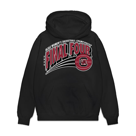 South Carolina - NCAA Women's Basketball : Tessa Johnson - NCAA® March Madness® Final 4 Premium Hooded Sweatshirt-0