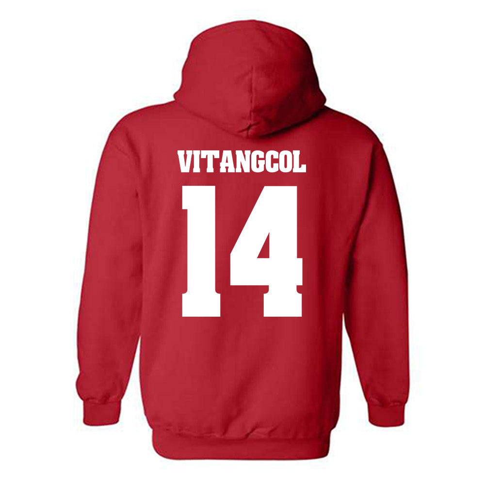 Wisconsin - NCAA Softball : Sydney Vitangcol - Classic Shersey Hooded Sweatshirt-1