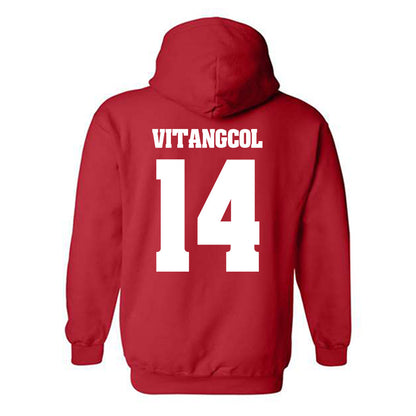 Wisconsin - NCAA Softball : Sydney Vitangcol - Classic Shersey Hooded Sweatshirt-1