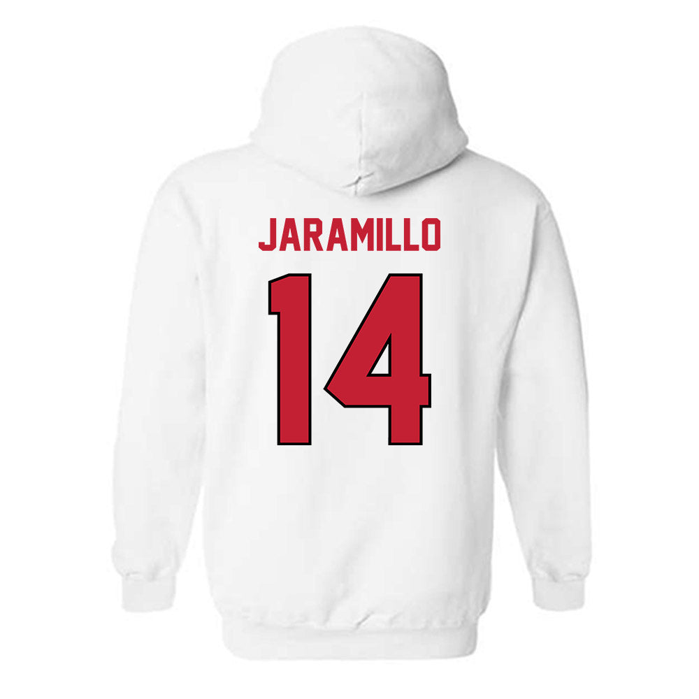 Wisconsin - NCAA Women's Basketball : Reese Jaramillo - Classic Shersey Hooded Sweatshirt-1