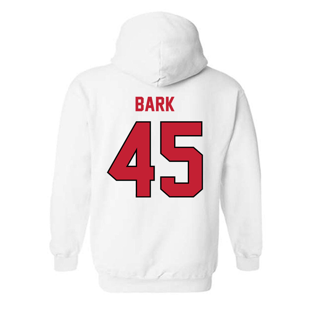 Wisconsin - NCAA Softball : Alivia Bark - Classic Shersey Hooded Sweatshirt-1