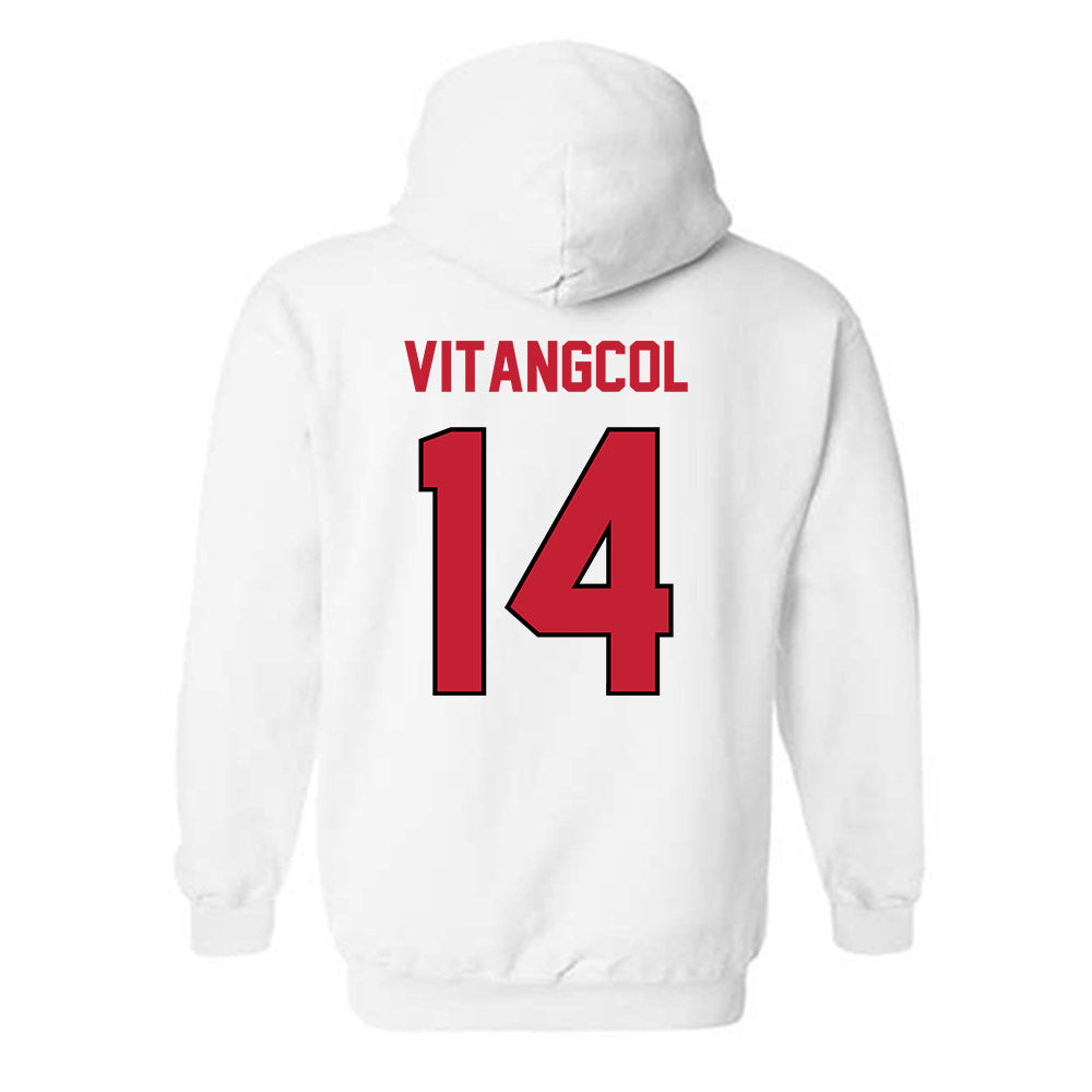 Wisconsin - NCAA Softball : Sydney Vitangcol - Classic Shersey Hooded Sweatshirt-1
