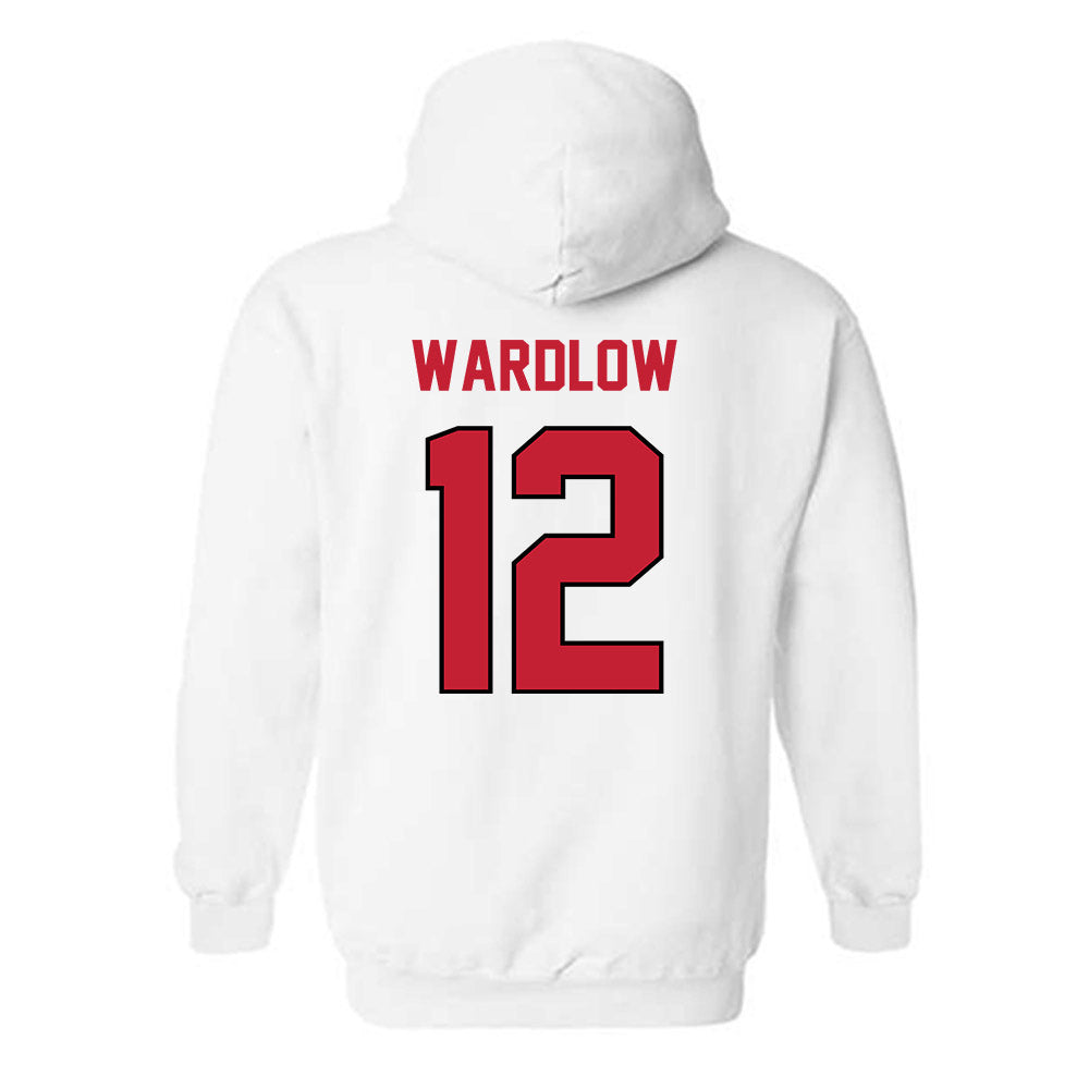 Wisconsin - NCAA Women's Volleyball : Natalie Wardlow - Classic Shersey Hooded Sweatshirt-1