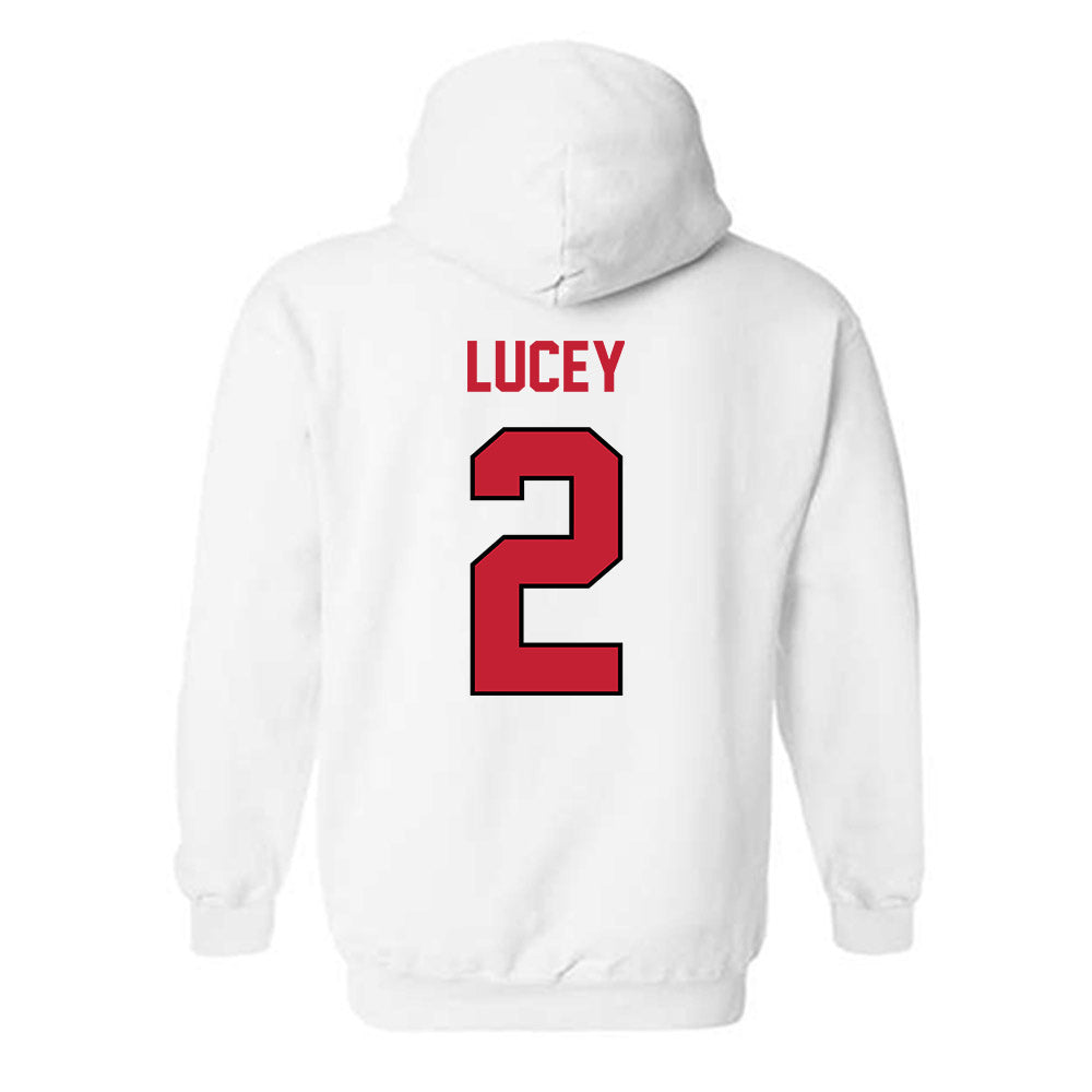 Wisconsin - NCAA Softball : Danielle Lucey - Classic Shersey Hooded Sweatshirt-1