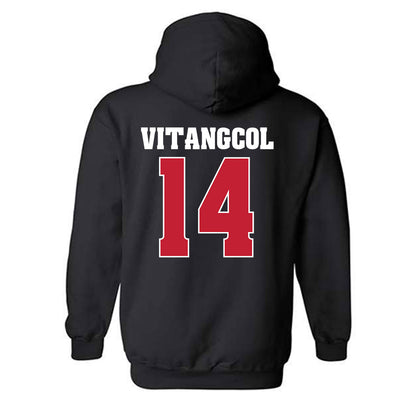 Wisconsin - NCAA Softball : Sydney Vitangcol - Classic Shersey Hooded Sweatshirt-1