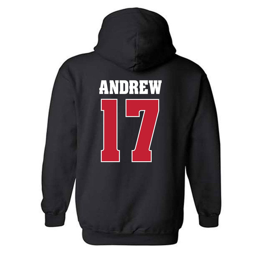 Wisconsin - NCAA Women's Volleyball : Alicia Andrew - Classic Shersey Hooded Sweatshirt-1