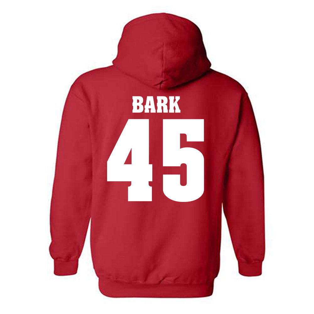 Wisconsin - NCAA Softball : Alivia Bark - Classic Shersey Hooded Sweatshirt-1