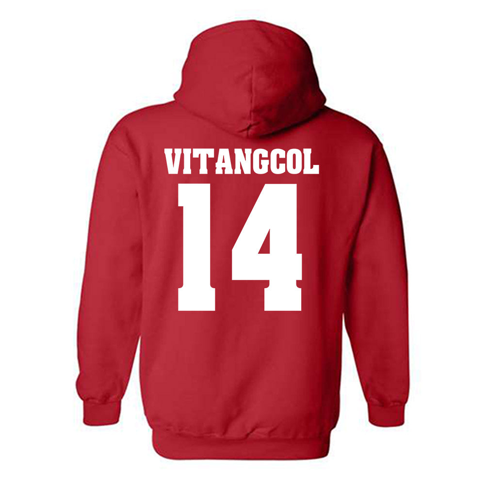 Wisconsin - NCAA Softball : Sydney Vitangcol - Classic Shersey Hooded Sweatshirt-1
