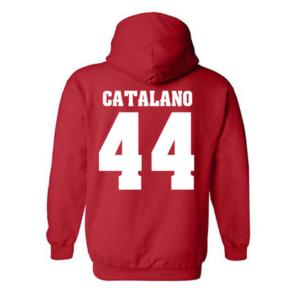 Wisconsin - NCAA Football : Cooper Catalano - Classic Shersey Hooded Sweatshirt-1