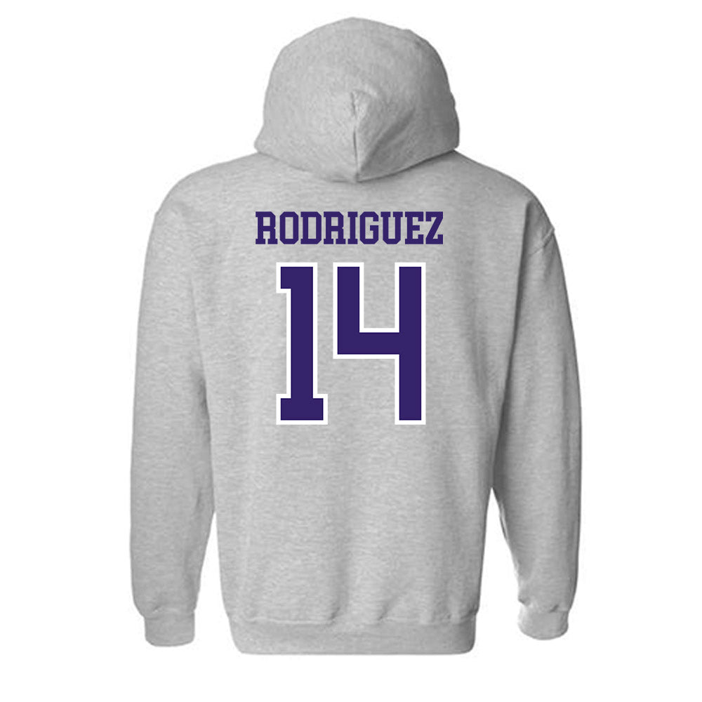 Washington - NCAA Softball : Amira Rodriguez - Sports Shersey Hooded Sweatshirt-1