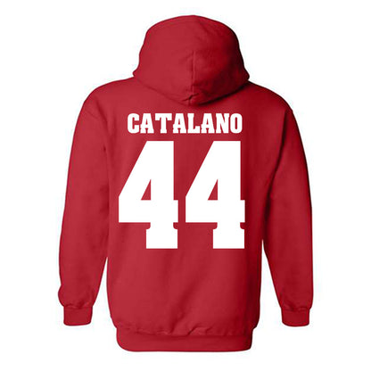 Wisconsin - NCAA Football : Cooper Catalano - Sports Shersey Hooded Sweatshirt-1
