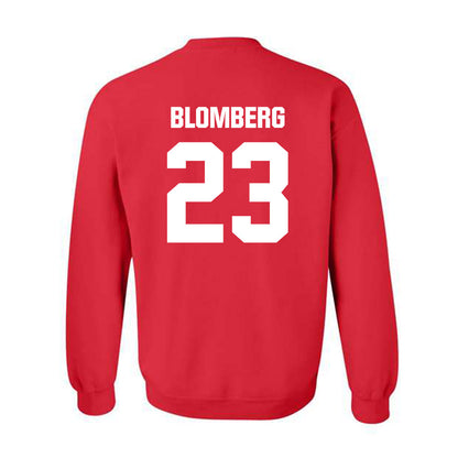 Wisconsin - NCAA Softball : Hilary Blomberg - Sports Shersey Crewneck Sweatshirt-1