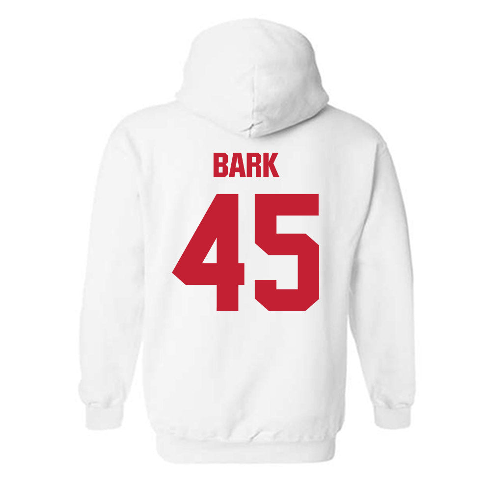 Wisconsin - NCAA Softball : Alivia Bark - Sports Shersey Hooded Sweatshirt-1