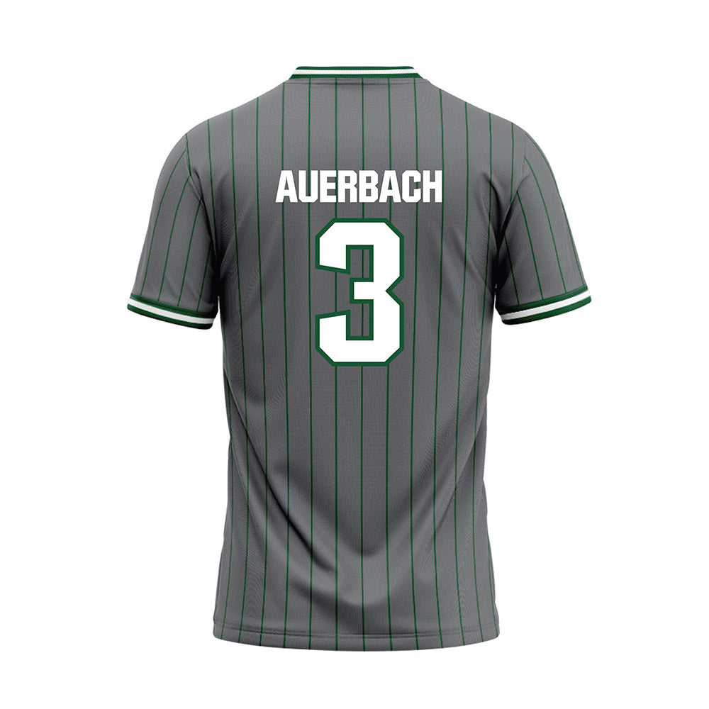 GMU - NCAA Softball : Payton Auerbach - Grey Baseball Jersey-1