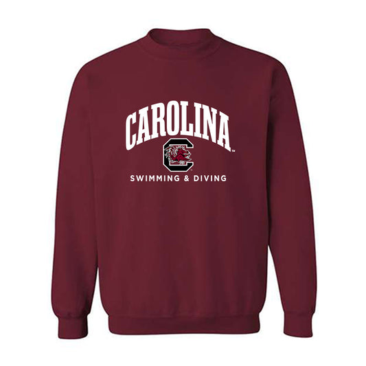 South Carolina - NCAA Men's Swimming & Diving : Connor Fry - Classic Shersey Crewneck Sweatshirt-0