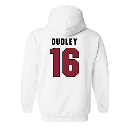South Carolina - NCAA Baseball : Patrick Dudley - Classic Shersey Hooded Sweatshirt-1