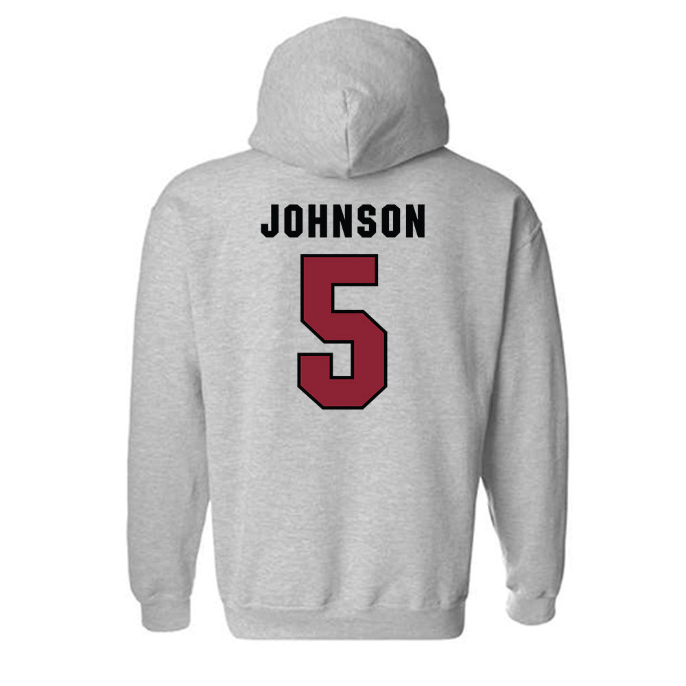 South Carolina - NCAA Women's Basketball : Tessa Johnson - Classic Shersey Hooded Sweatshirt-1