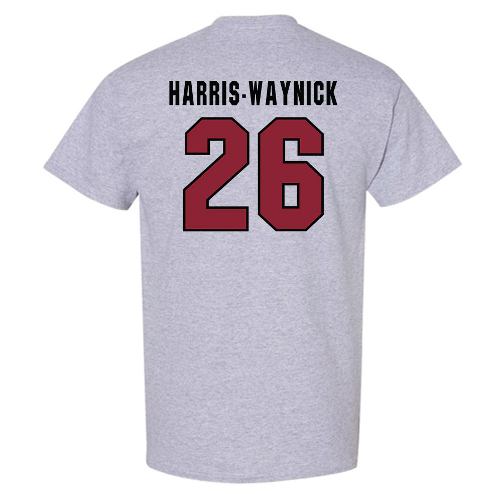 South Carolina - NCAA Football : Nathan Harris-Waynick - Classic Shersey T-Shirt-1