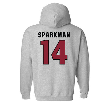 South Carolina - NCAA Men's Basketball : Eli Sparkman - Classic Shersey Hooded Sweatshirt-1