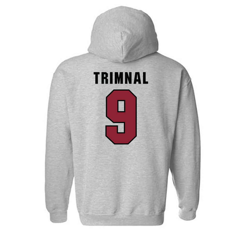 South Carolina - NCAA Men's Soccer : Tyler Trimnal - Classic Shersey Hooded Sweatshirt-1