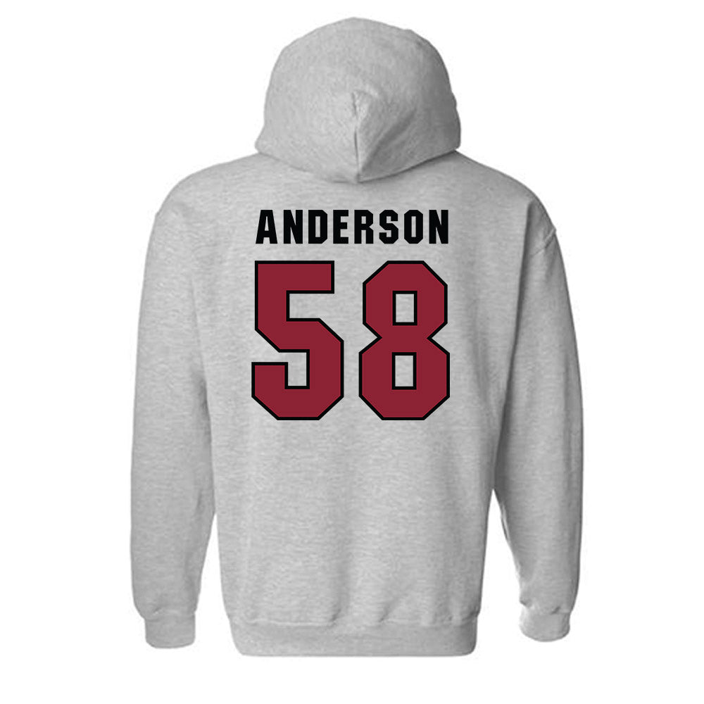South Carolina - NCAA Football : Markee Anderson - Classic Shersey Hooded Sweatshirt-1
