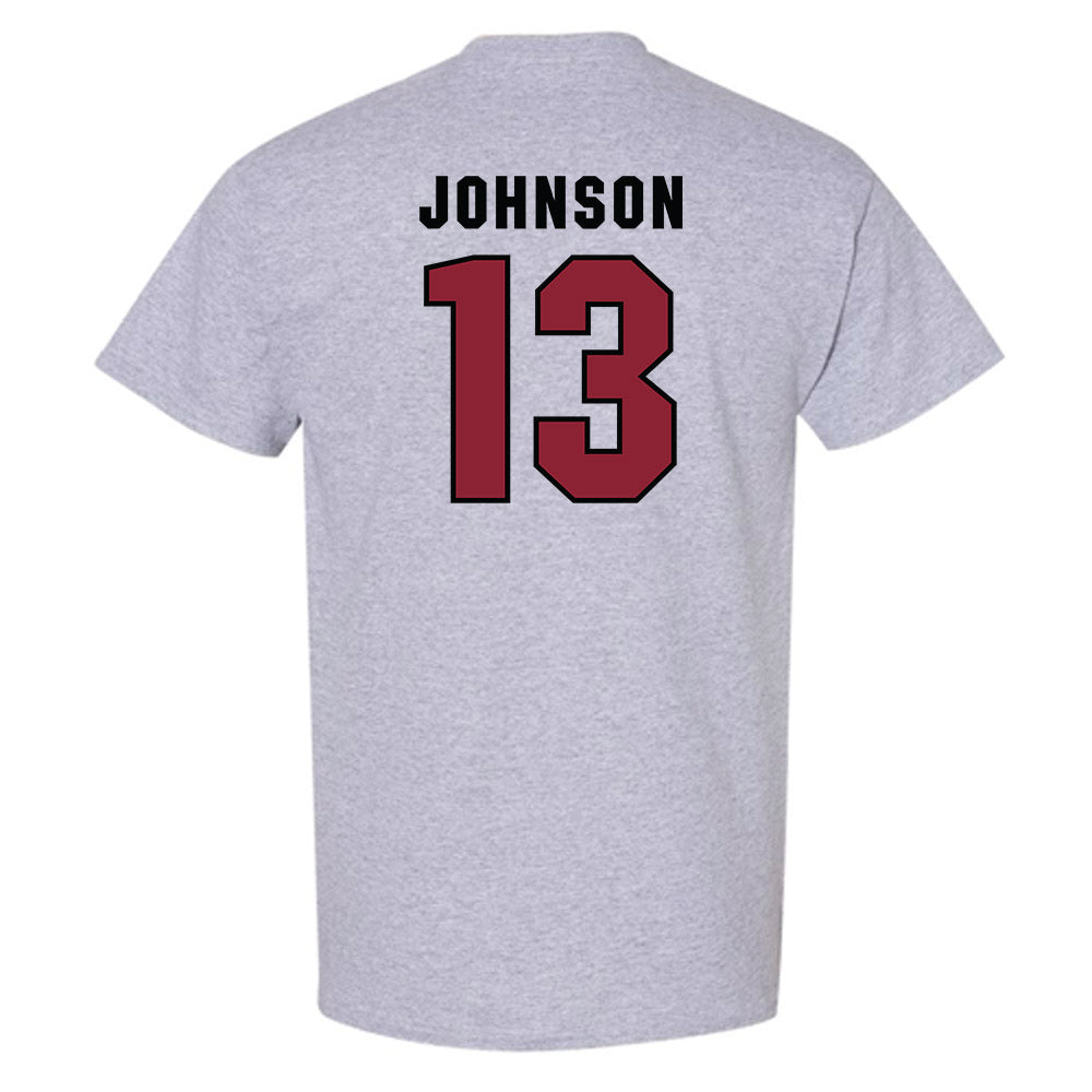 South Carolina - NCAA Women's Volleyball : Alayna Johnson - Classic Shersey T-Shirt-1