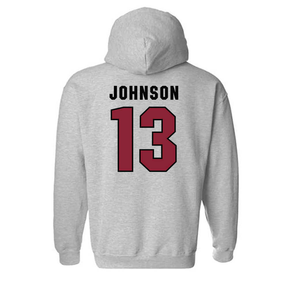 South Carolina - NCAA Women's Volleyball : Alayna Johnson - Classic Shersey Hooded Sweatshirt-1