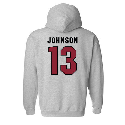 South Carolina - NCAA Women's Volleyball : Alayna Johnson - Classic Shersey Hooded Sweatshirt-1