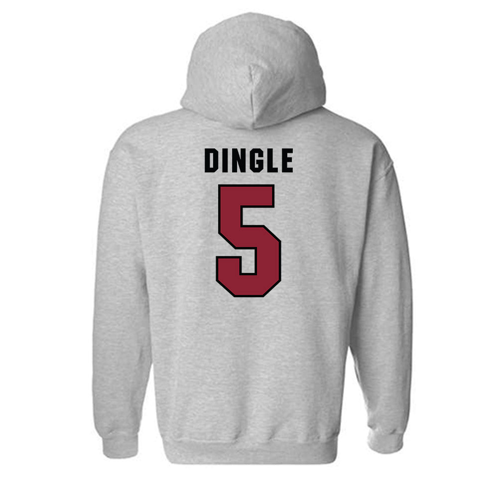 South Carolina - NCAA Football : Jordan Dingle - Classic Shersey Hooded Sweatshirt-1