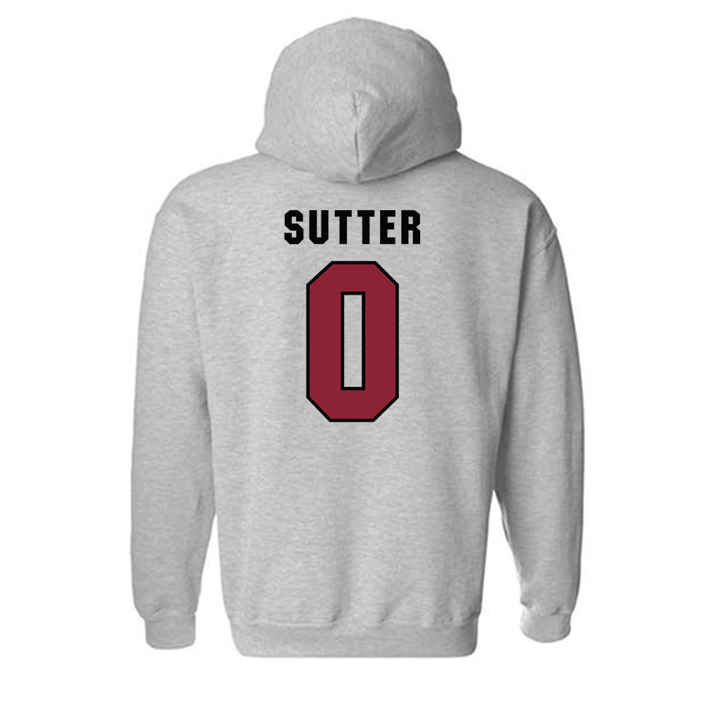 South Carolina - NCAA Baseball : Logan Sutter - Classic Shersey Hooded Sweatshirt-1
