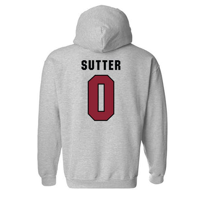South Carolina - NCAA Baseball : Logan Sutter - Classic Shersey Hooded Sweatshirt-1