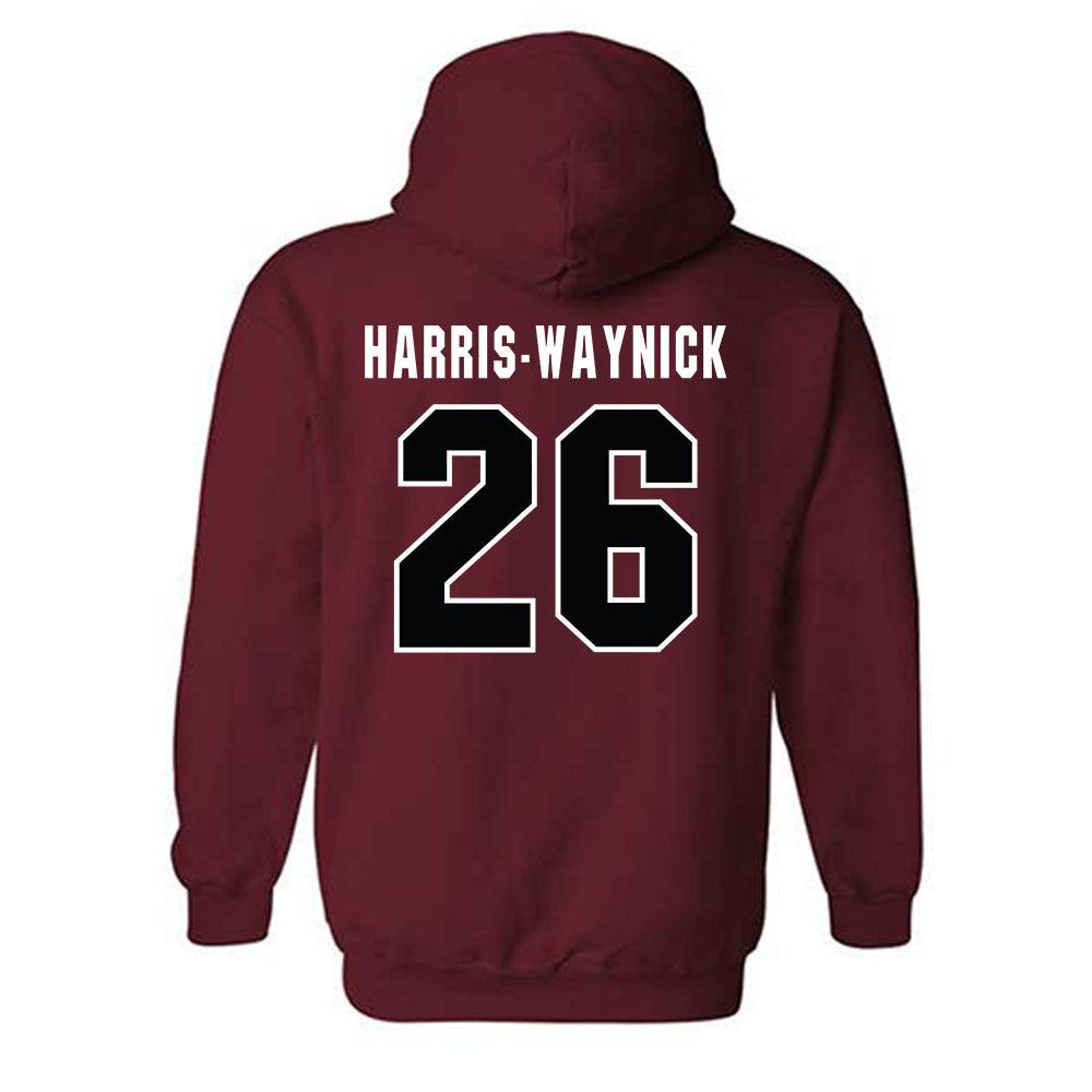 South Carolina - NCAA Football : Nathan Harris-Waynick - Classic Shersey Hooded Sweatshirt-1