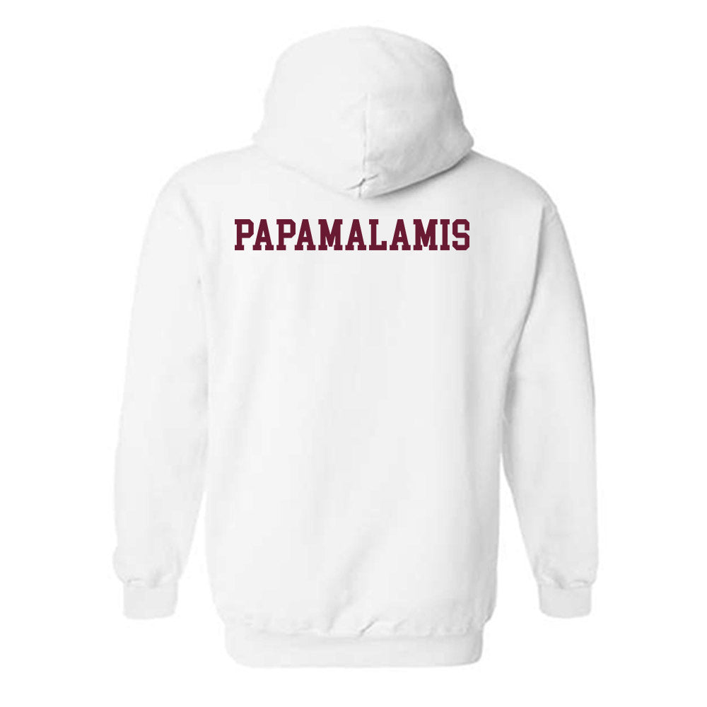 Texas A&M - NCAA Men's Tennis : Theo Papamalamis - Classic Shersey Hooded Sweatshirt-1