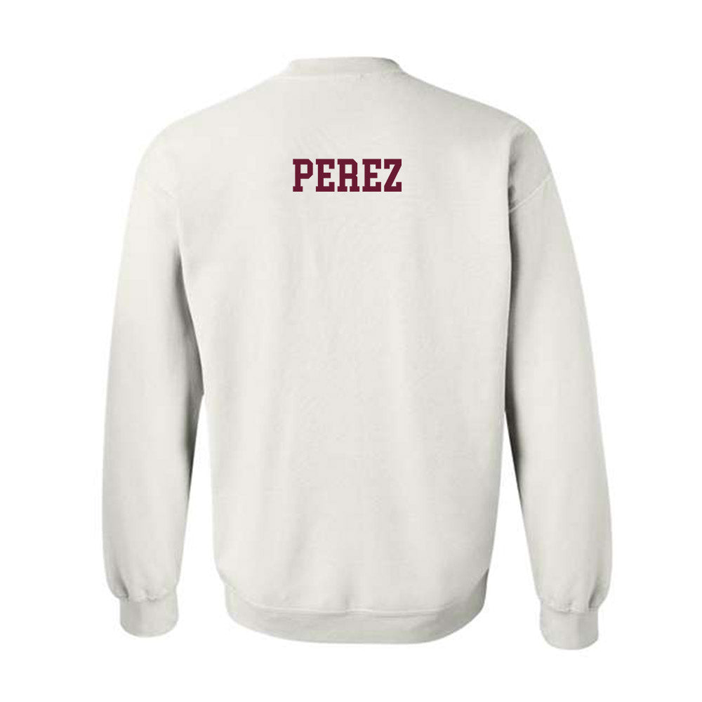 Texas A&M - NCAA Women's Tennis : Lucciana Perez - Classic Shersey Crewneck Sweatshirt-1