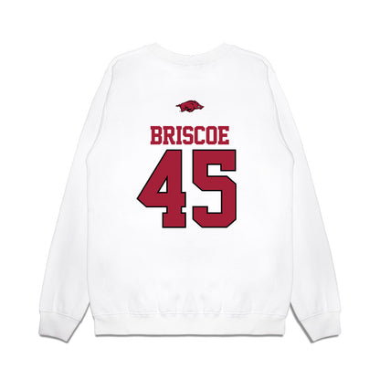 Arkansas - NCAA Baseball : Tye Briscoe - USA Premium Crewneck Sweatshirt-1