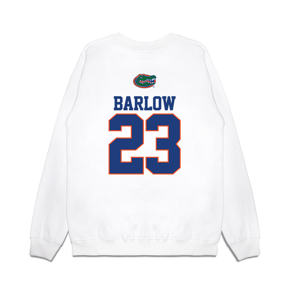 Florida - NCAA Baseball : Billy Barlow - USA Raglan Premium Crewneck Sweatshirt-1